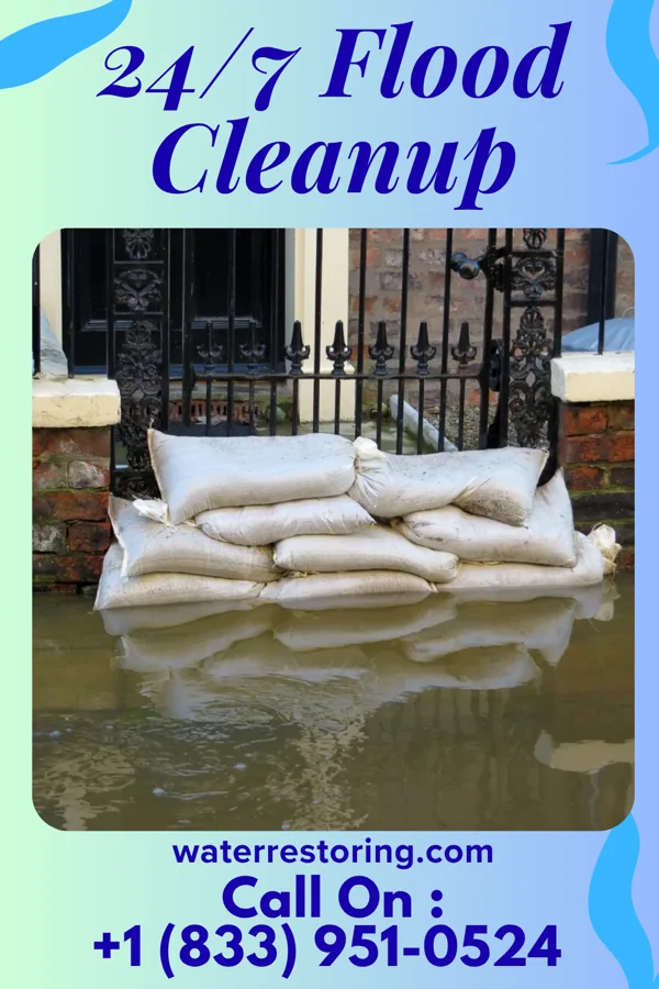 24/7 Flood Cleanup in Brillion, WI