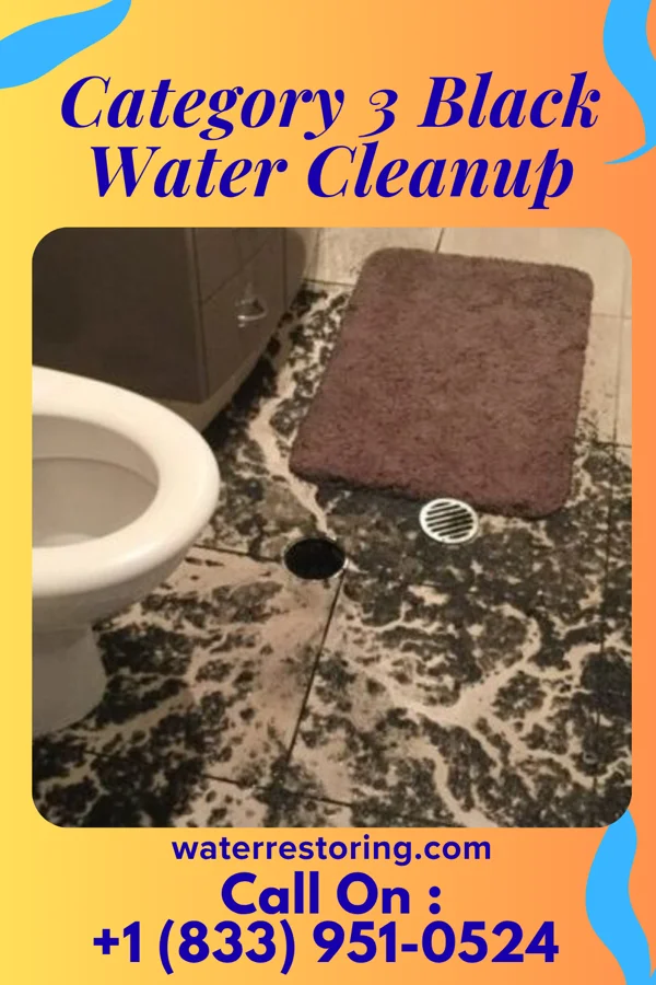 Category 3 Black Water Cleanup in Brillion, WI