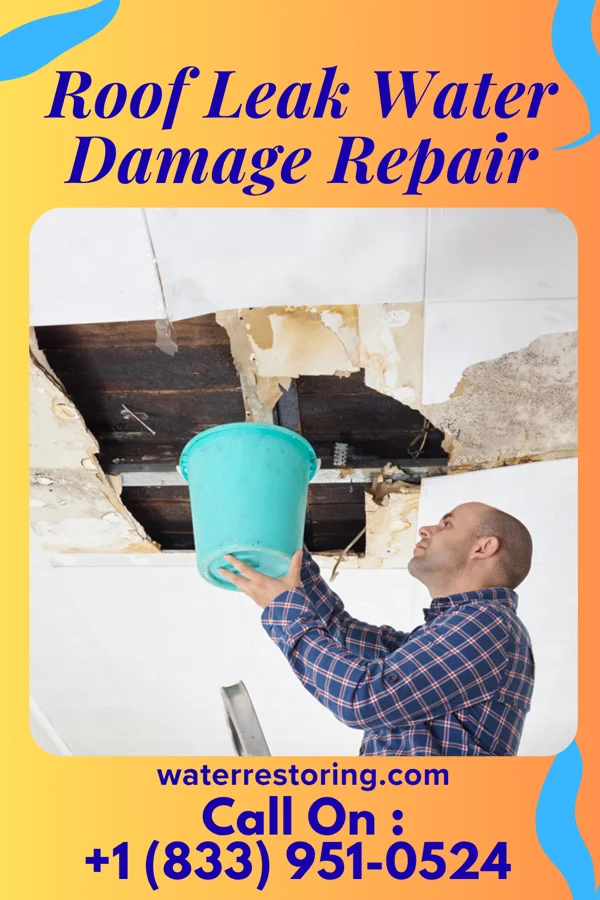 Roof Leak Water Damage Repair in Brillion, WI