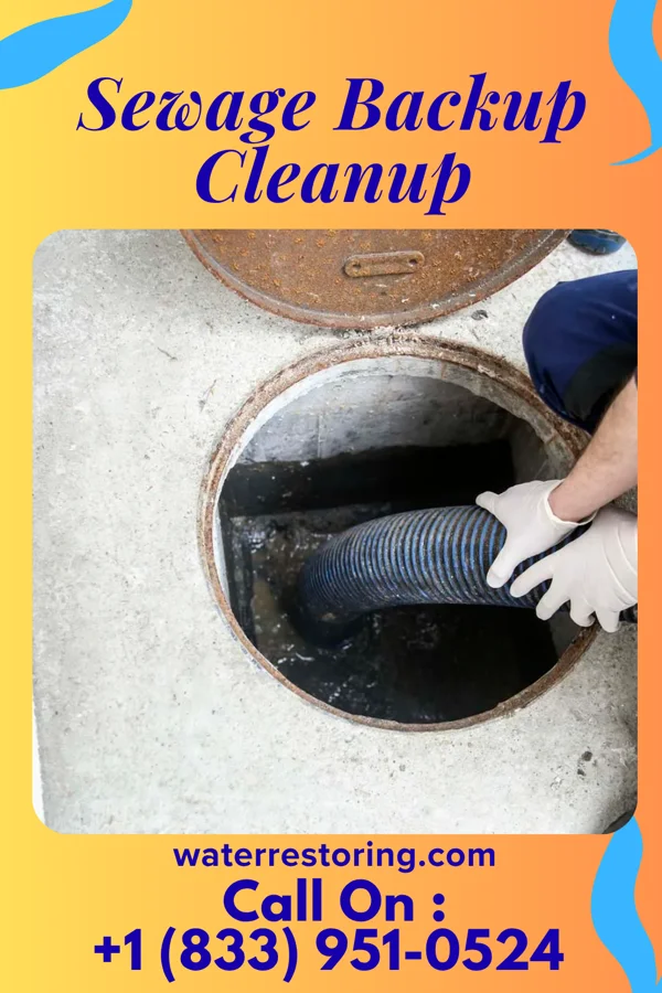 Sewage Backup Cleanup in Brillion, WI