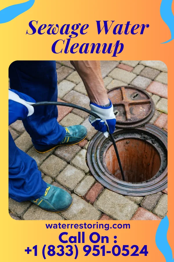 Sewage Water Cleanup in Brillion, WI